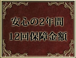 安心の2年間12回保証金額